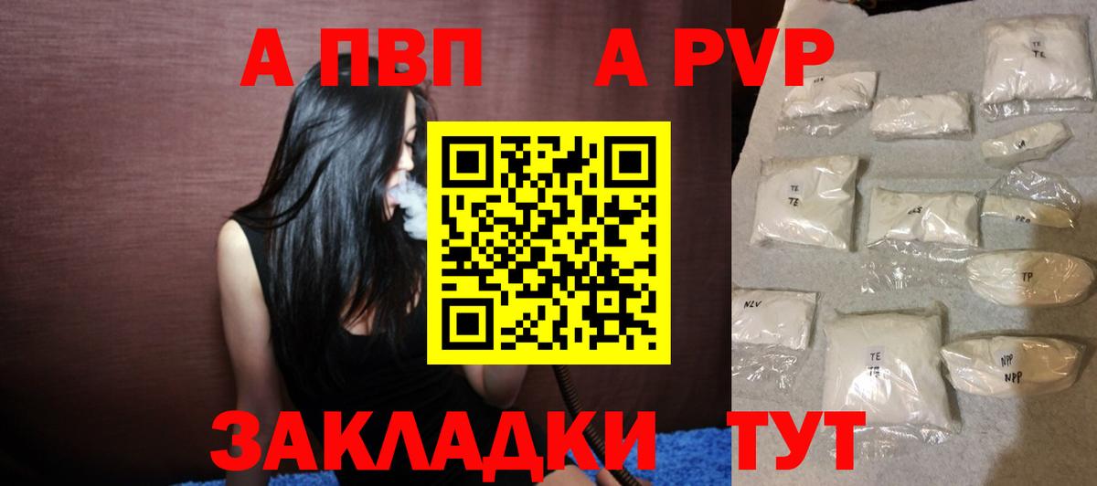 A PVP СК КРИС Нововоронеж