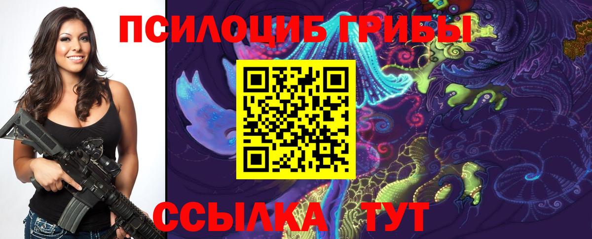 Галлюциногенные грибы Psilocybe Нововоронеж