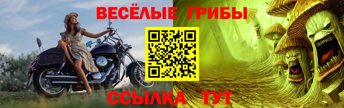 Псилоцибиновые грибы Psilocybe  где найти   Нововоронеж  Вход с VPN 