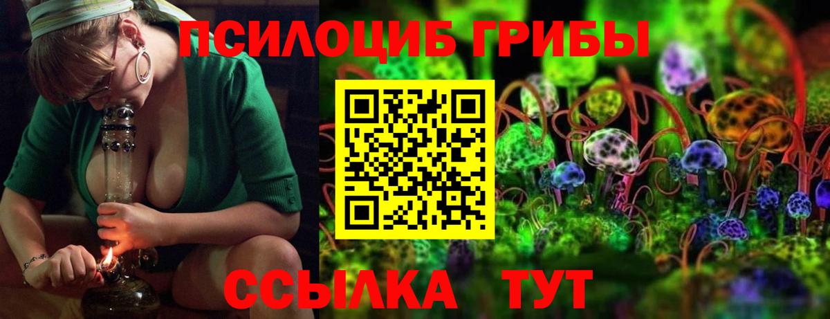где продают наркотики  Нововоронеж  Галлюциногенные грибы Cubensis 