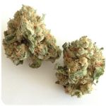 Шишки "White Widow"  (Белая вдова)  Гидропоника -  Бошка VHQ в Нововоронеже